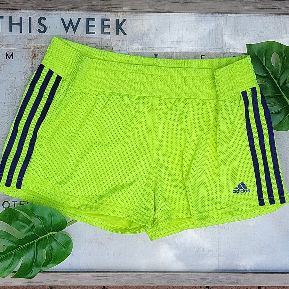 Adidas green shorts woman XL !